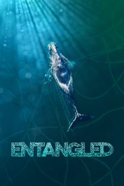 Entangled: The Race to Save Right Whales from Extinction